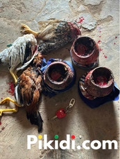 The Most Spiritual Powerful Traditional Herbalist In Nigeria - 3