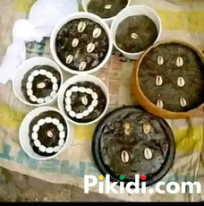 The best Spiritual herbalist in Nigeria