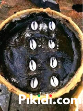 The best powerful spiritual herbalist man and native doctor in Nigeria - 9