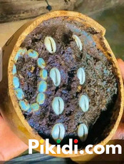 The best spiritual native doctor and strong herbalist man in Nigeria - 2