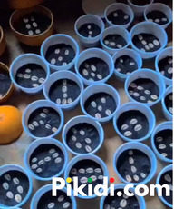 The best powerful spiritual herbalist in Nigeria+2348117855171 - 2