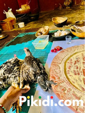 The most powerful spiritual native doctor in Lagos +2349151785058 - 4