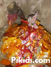 The Best Spiritual Native Doctor And Strong Herbalist Man In Nigeria - 2